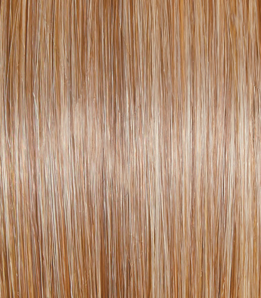 Portrait Mode by Raquel Welch | Synthetic Wig